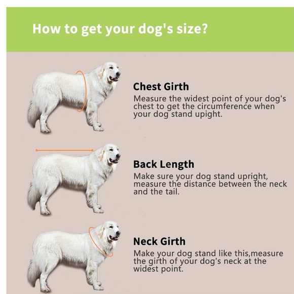 Size medium dog life jacket with shark fin - Picture 5 of 8